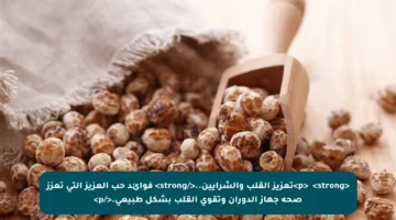 <p>✔️ <strong>تعزيز القلب والشرايين..</strong> فوائد حب العزيز التي تعزز صحة جهاز الدوران وتقوي القلب بشكل طبيعي.</p>